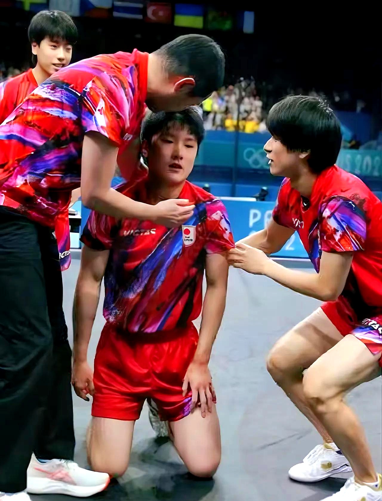 黑白直播在线观看-波兰队碾压德国队,张本智和点燃赛场