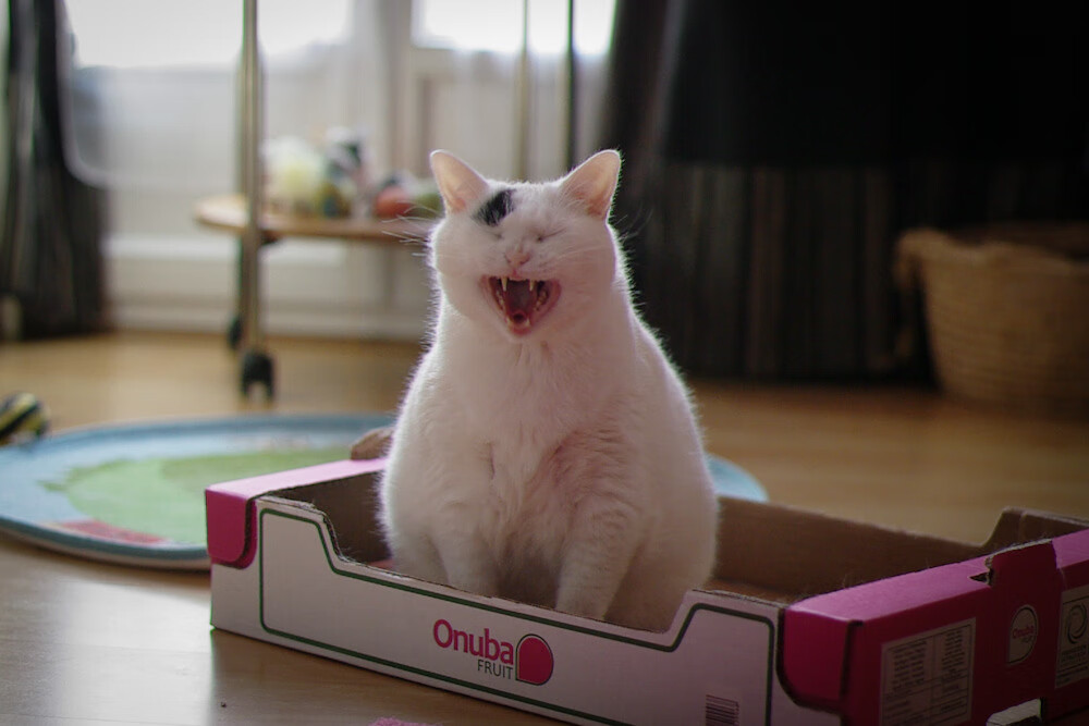 黑白直播nba-迪亚斯点射引爆全场,沙特火力全开3-0大胜玻利维亚