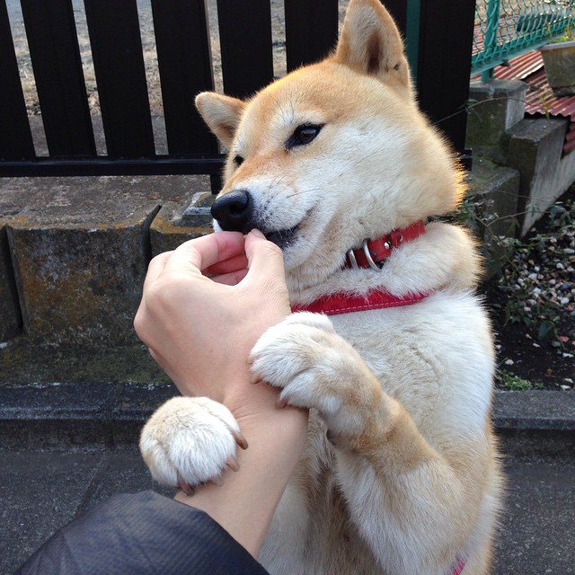哈弗茨末节神奇接管,曼城友谊赛逆转厄瓜多尔