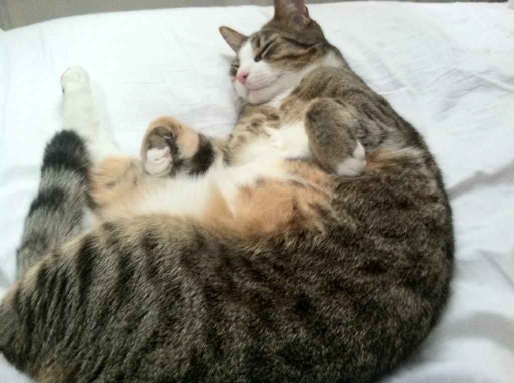 为尊严而战，厄瓜多尔与南非在抢七硝烟中写下的全球南方寓言