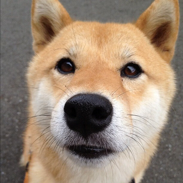 黑白直播在线观看-篮球场上的时空交叠，当约基奇的稳定成为新疆队力克骑士的战术隐喻