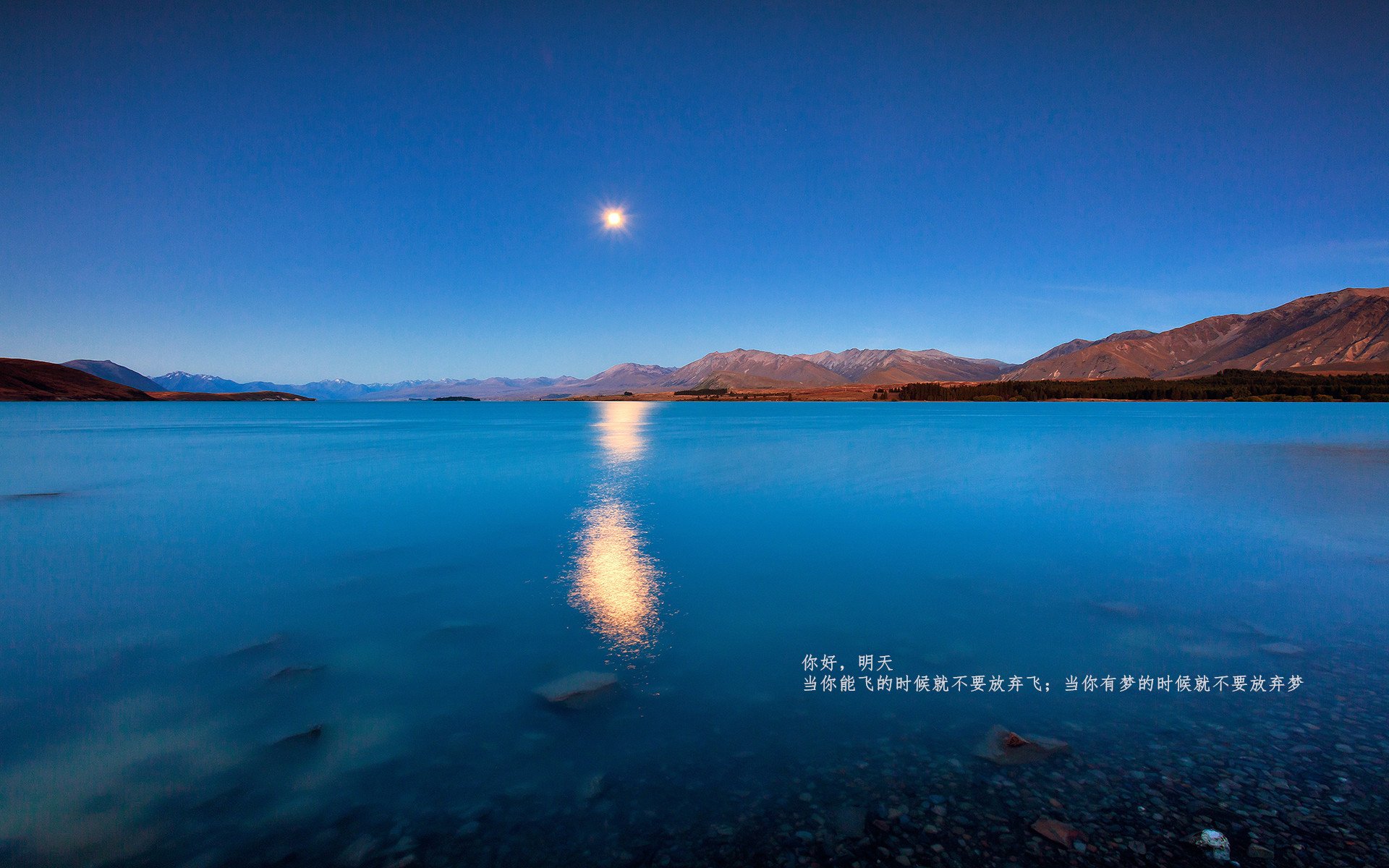 黑白直播免费体育直播-年度焦点之战，那不勒斯关键战突围突尼斯