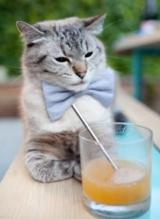 钢铁意志的加冕，布鲁诺以战神之姿率尼日利亚在世界排名决战中掀翻阿根廷