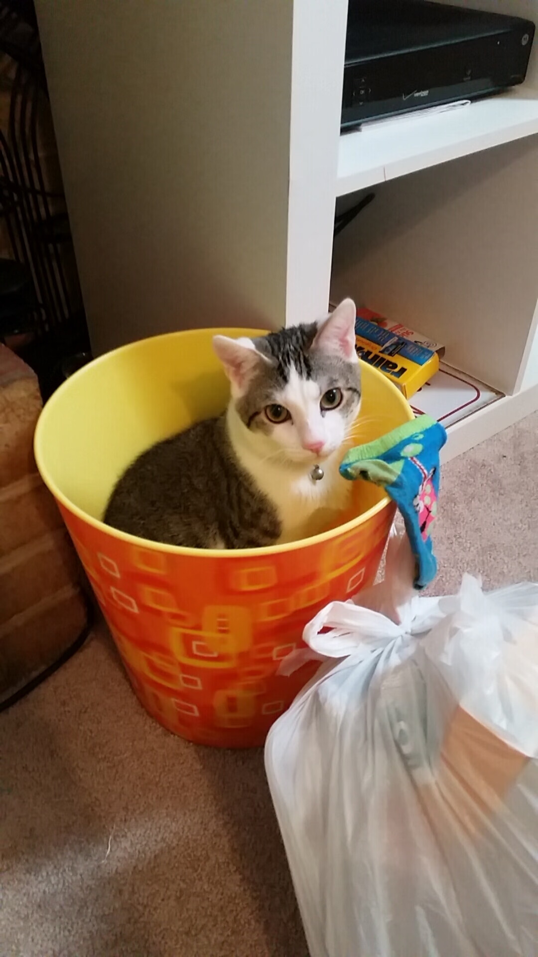 黑白直播nba在线观看-锁喉之夜，塔图姆一记封喉，黄蜂刺穿活塞铁壁