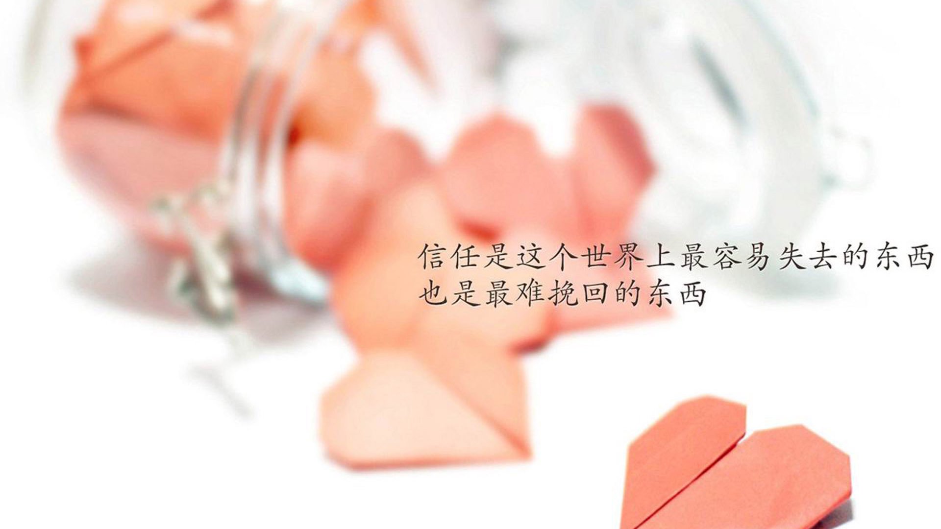 终结者小贾伦，一记封喉三分背后的篮球道场