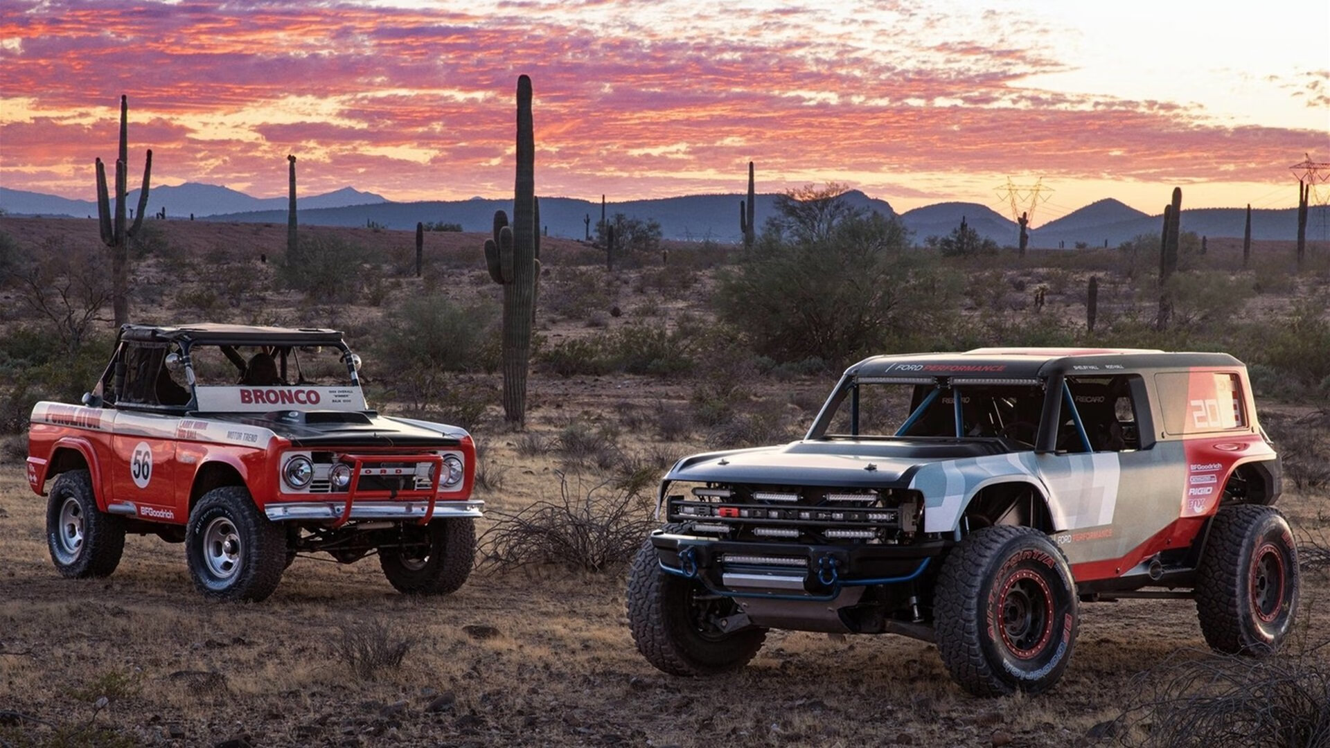 黑白直播网-篮网血拼火箭，字母哥欧冠封神，篮球之夜的冰与火之歌