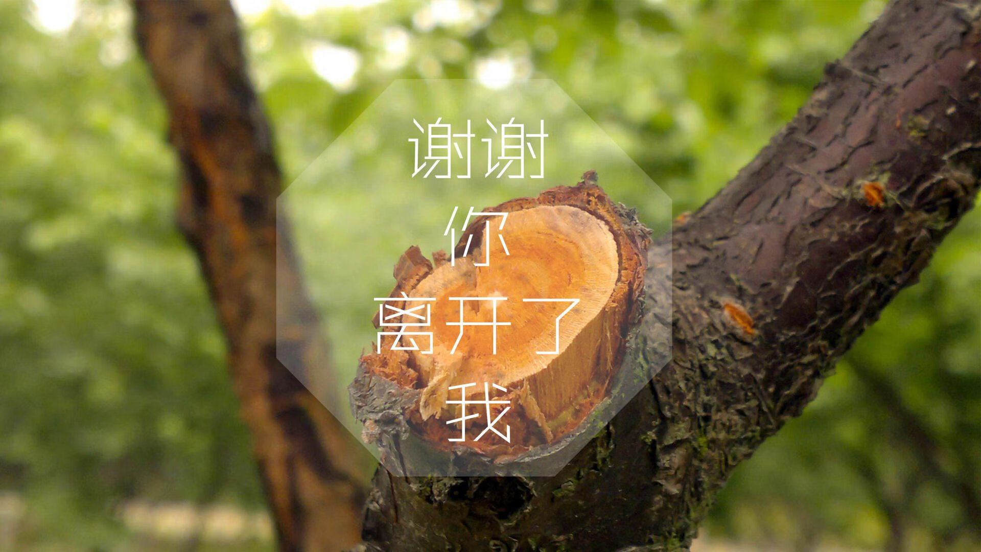 看见雷霆掀翻快船，才明白班凯罗才是下一代大场面先生