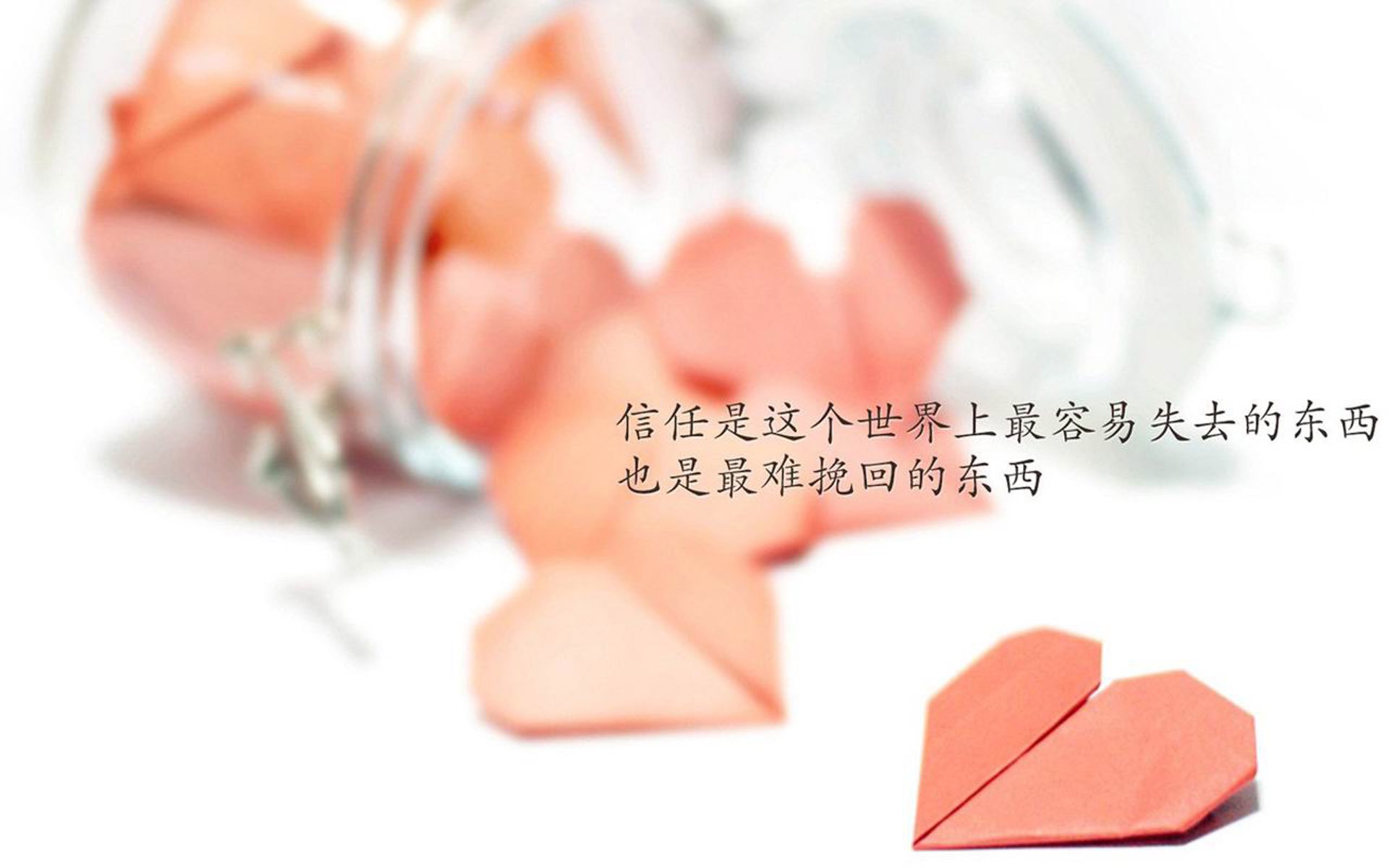 黑白直播nba在线观看-风暴中的郁金香，2026世界杯B组强强对话，罗马尼亚逆转荷兰，费利克斯闪耀全场