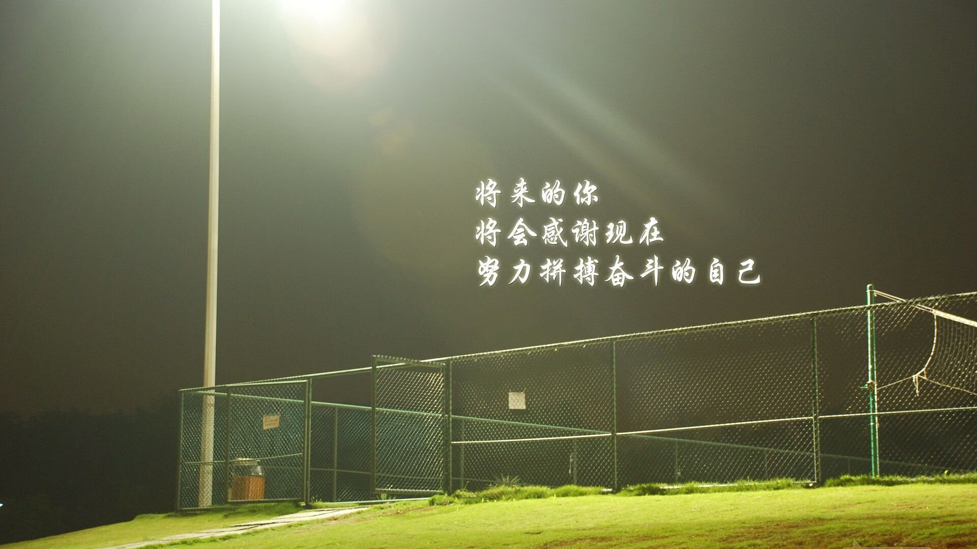 橙衣军的黄昏，当维尼修斯点亮加纳的星空，荷兰足球的宿命在2026年B组轮回