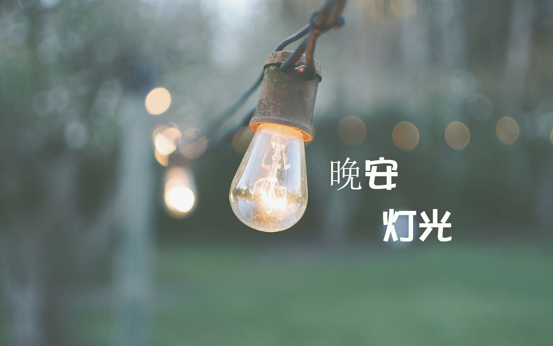东欧铁骑踏破红魔，莱万三箭定江山—2026世界杯E组关键战保加利亚完胜比利时纪实